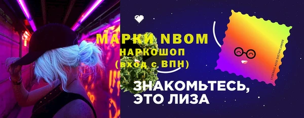 индика Пересвет