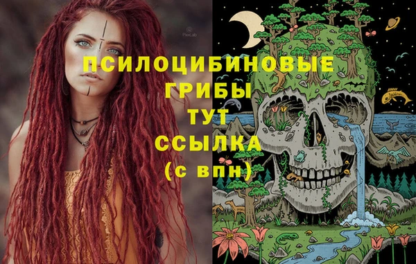 индика Пересвет