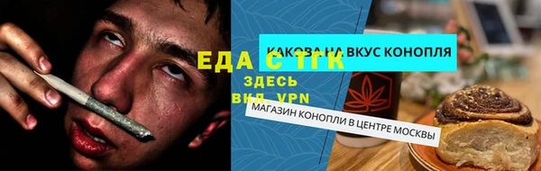 индика Пересвет