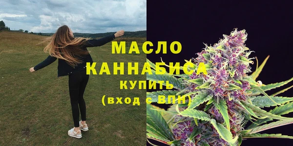 индика Пересвет