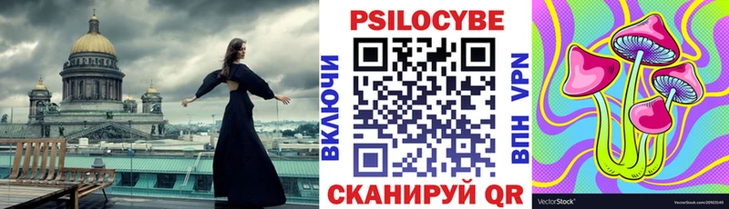 Галлюциногенные грибы GOLDEN TEACHER Богородицк
