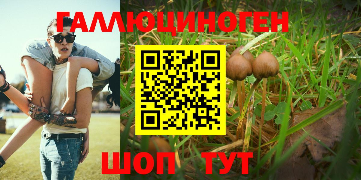 Псилоцибиновые грибы MAGIC MUSHROOMS  Галлюциногенные грибы мицелий  Богородицк  Вход с VPN 
