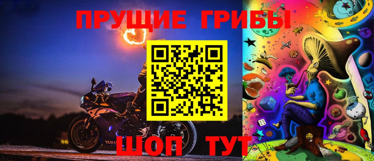 Псилоцибиновые грибы GOLDEN TEACHER  Богородицк  Псилоцибиновые грибы мухоморы 